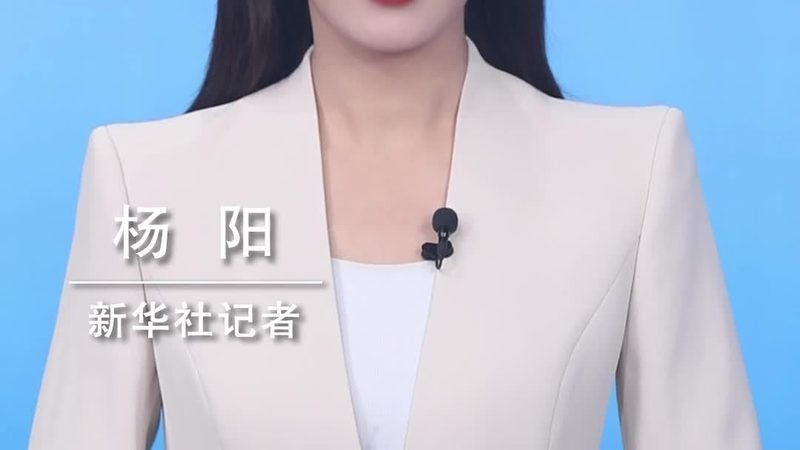 软件定制开发需要几个月
